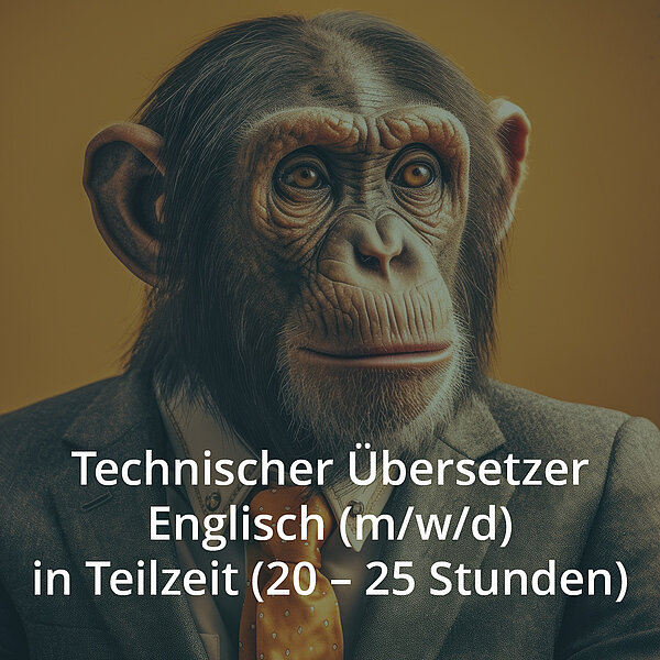 Technischer Übersetzer Englisch (m/w/d)