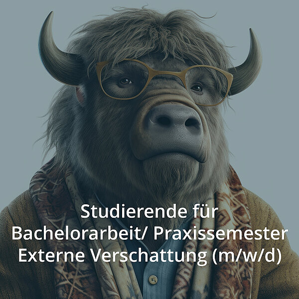 Studierende für Bachelorarbeit/Praxissemester Externe Verschattung (m/w/d)
