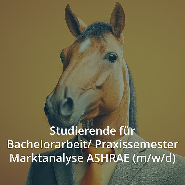 Studierende für Bachelorarbeit/ Praxissemester Marktanalyse ASHRAE (m/w/d)