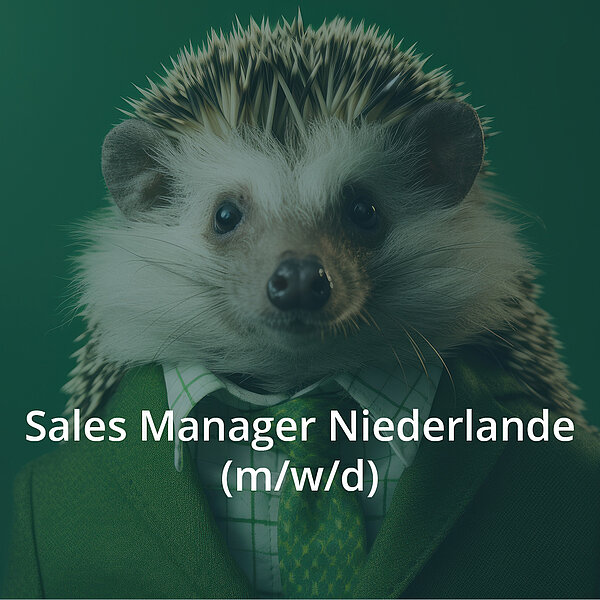Sales Manager Niederlande