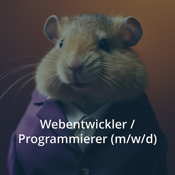 Webentwickler / Programmierer