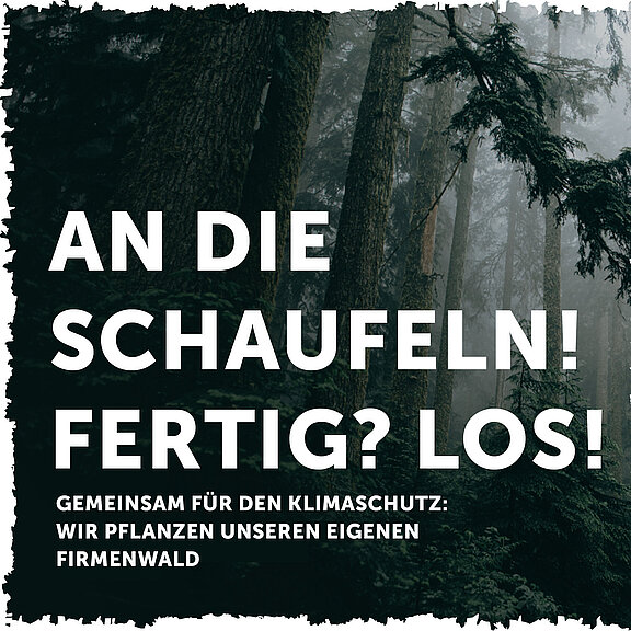 Blogbeitragsbild Nachbericht Pflanzevent mit Planted  