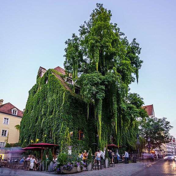 [Translate to Nederlands:] Pfistermühle  